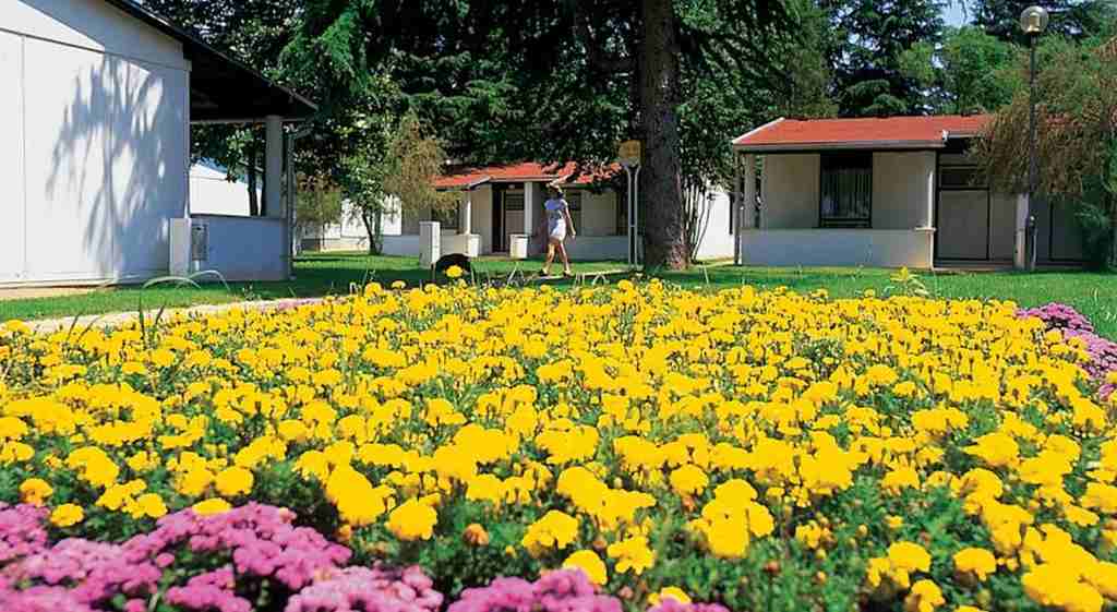 Park Plava Laguna 4*
